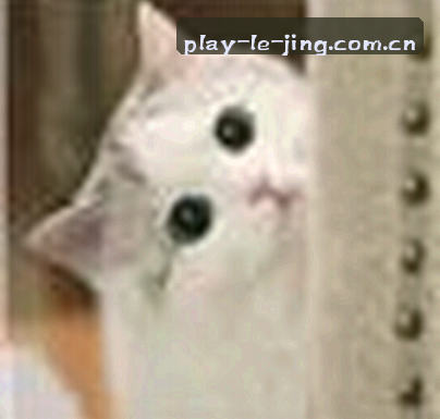 王磊